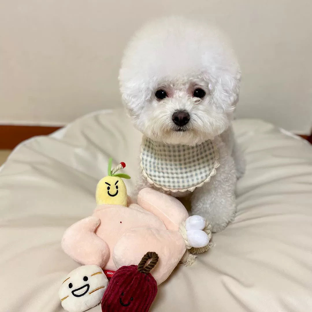 pet sniffing and treat-hiding toy