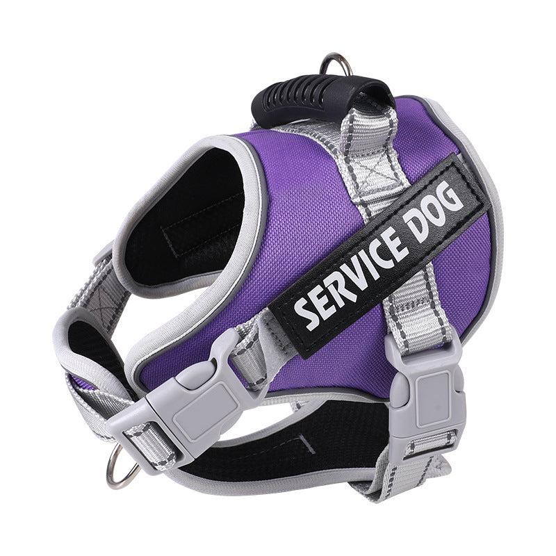 Pet Leash Pet