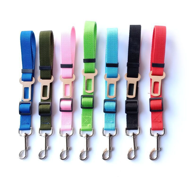 Retractable dog seat belt