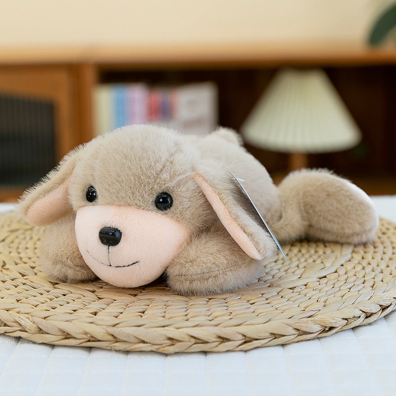 Pocket Plush Toy Panda Plush Doll Cute Plush Doll Doll Gift Children's Pacifying Doll
