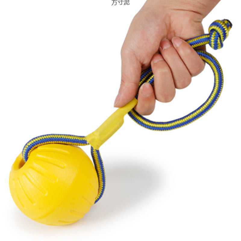 Dog training toy balls, frisbees, border Collies, Golden Retrievers, and medium to large-sized dogs
