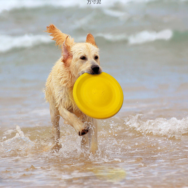 Dog training toy balls, frisbees, border Collies, Golden Retrievers, and medium to large-sized dogs