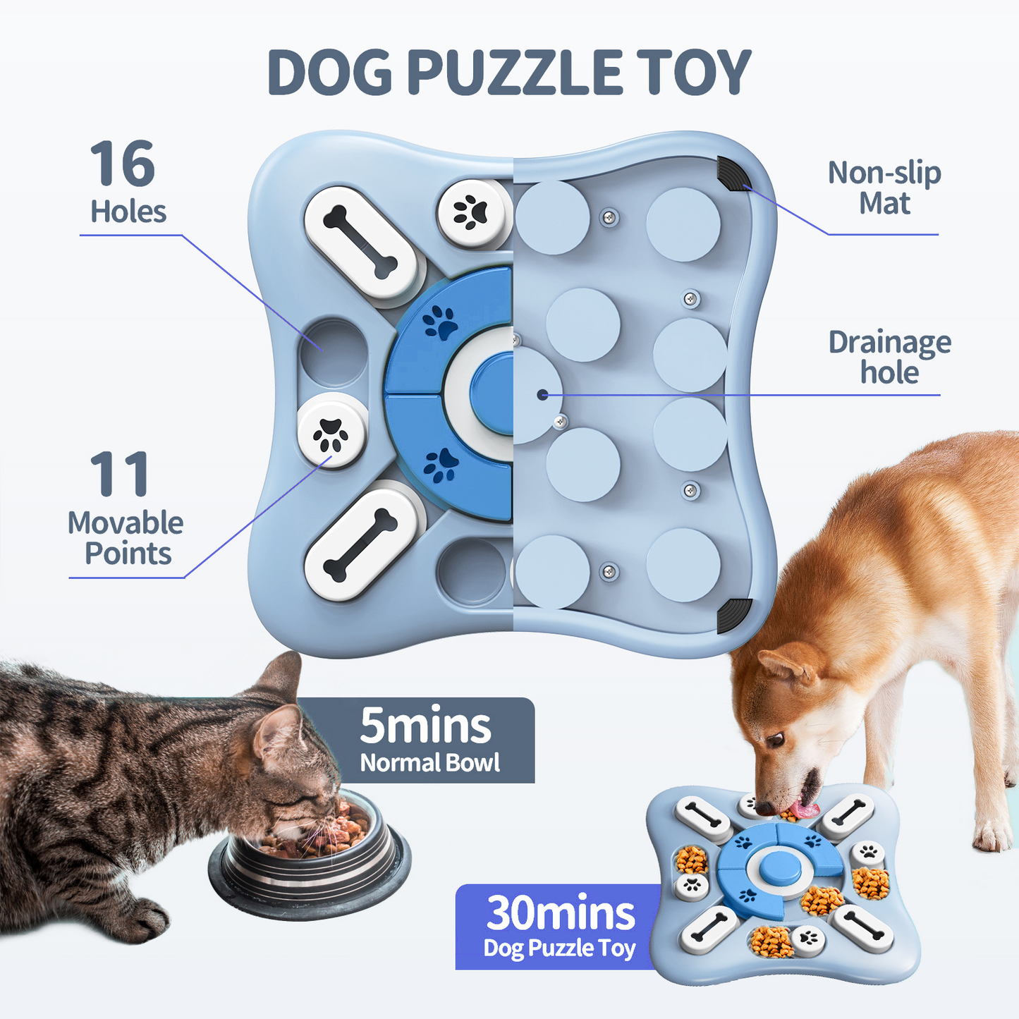 Cat and dog toys