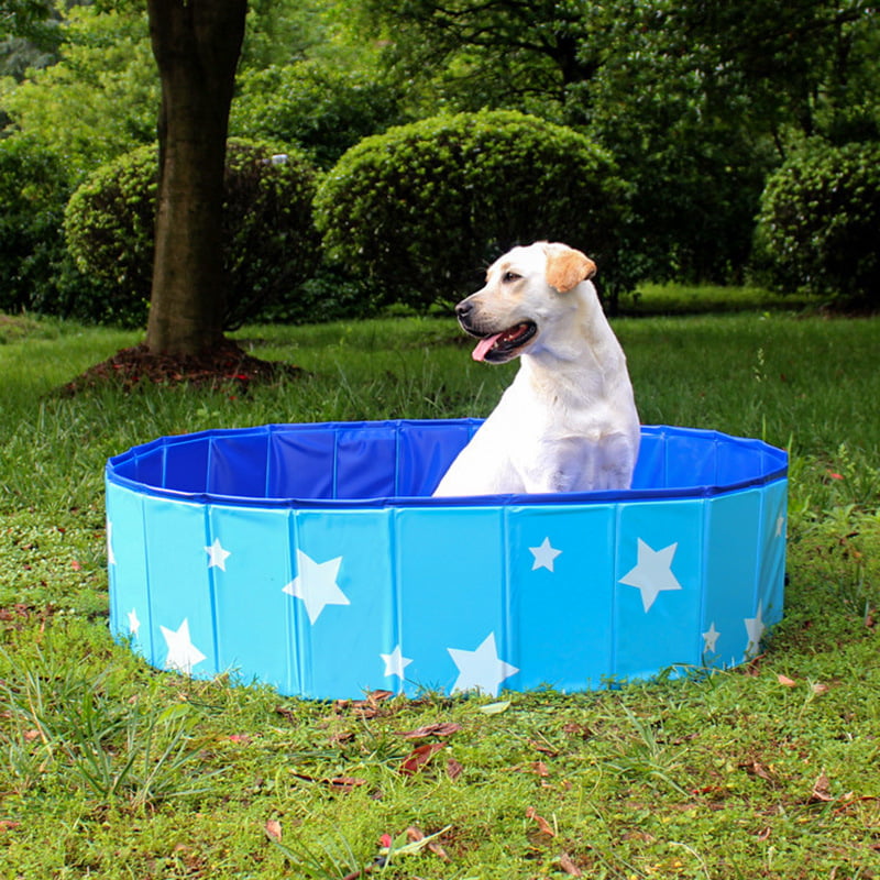 Pet Bathtub