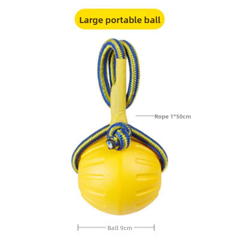 Dog training toy balls, frisbees, border Collies, Golden Retrievers, and medium to large-sized dogs