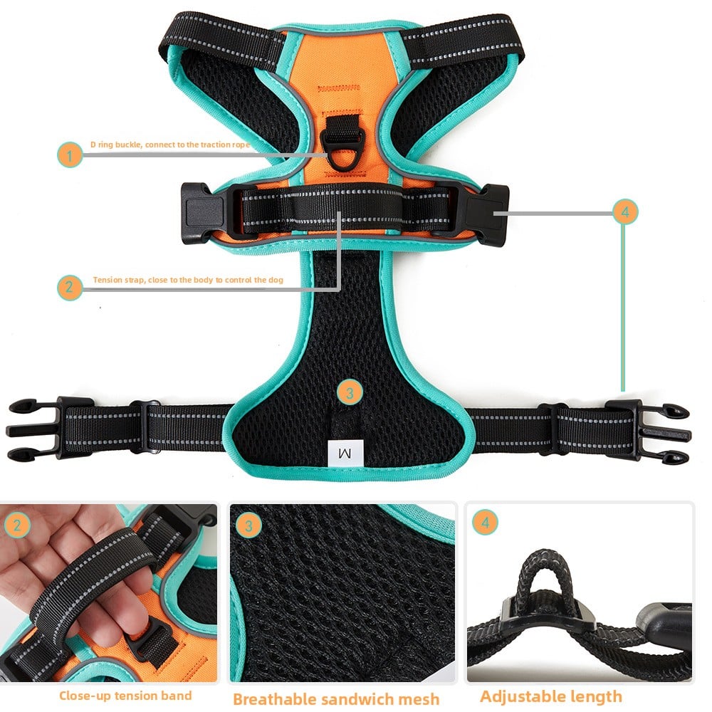 Dog outdoor vest