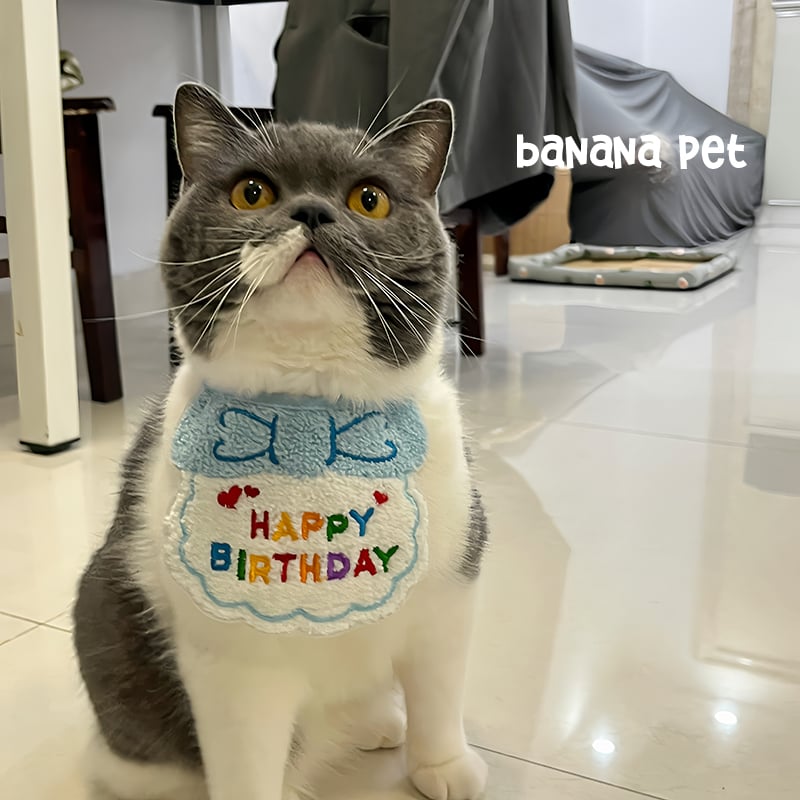 Pet Small Dog Cat Dog Birthday Dress Cake Digital Candle Cute Animal Blue Bib Paper Tray