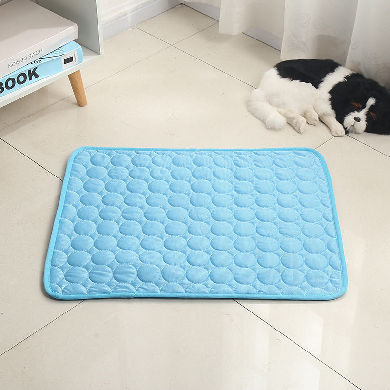 Pet ice pad