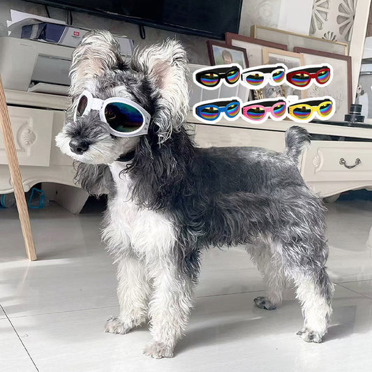 Pet foldable glasses