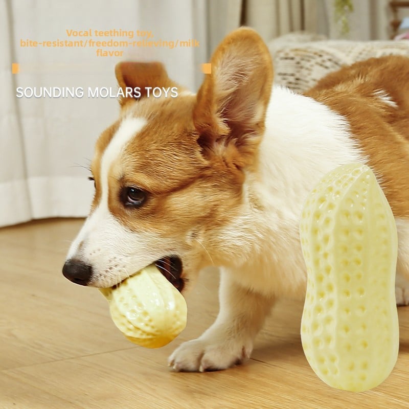 The dog toy ball is tough, grinds its teeth and makes sounds like a peanut