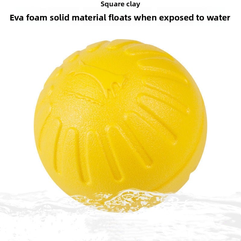 Dog training toy balls, frisbees, border Collies, Golden Retrievers, and medium to large-sized dogs