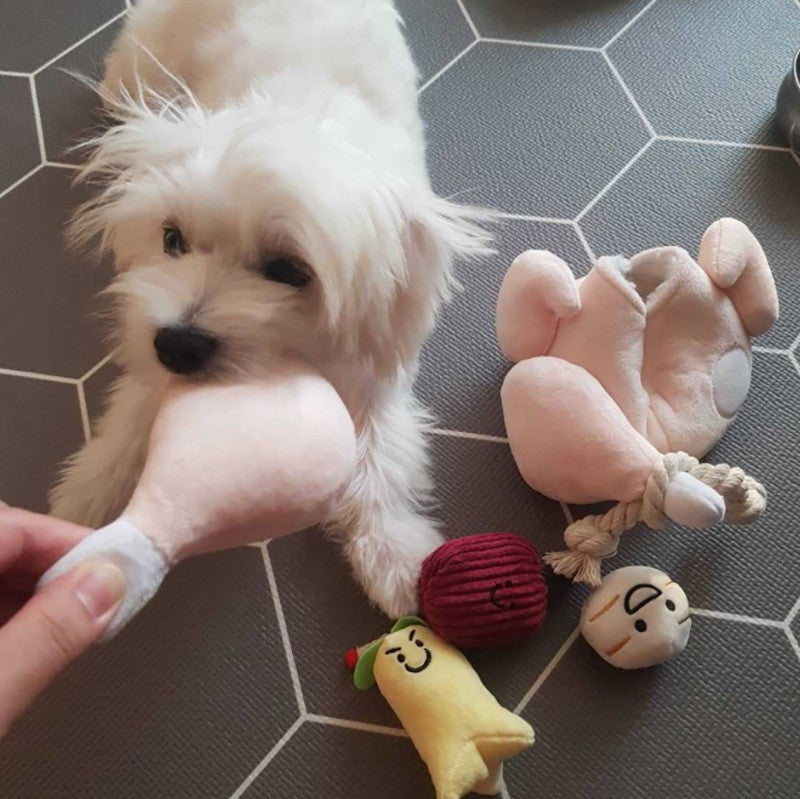 pet sniffing and treat-hiding toy