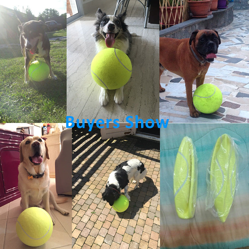 Pet inflatable tennis toys