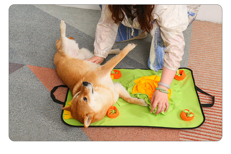 Pet Snuffle Mat Dog Training Pad