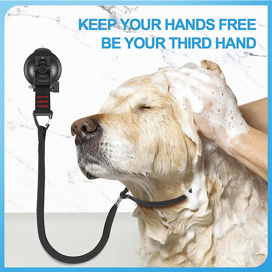 Pet dog leash