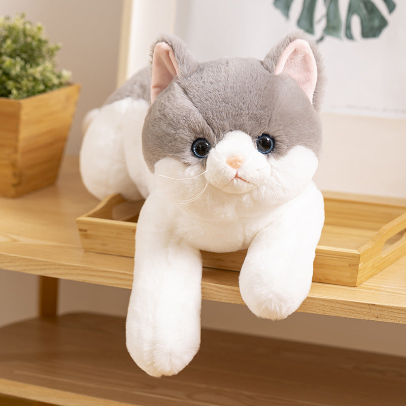 Kitten Plush Toy Home Sofa Car Decoration Doll Children's Companion Pillow Gift Cat Doll
