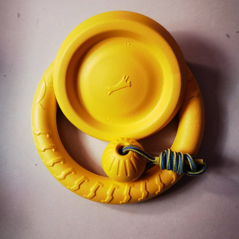 Dog training toy balls, frisbees, border Collies, Golden Retrievers, and medium to large-sized dogs