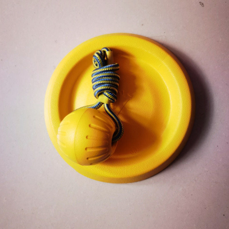 Dog training toy balls, frisbees, border Collies, Golden Retrievers, and medium to large-sized dogs