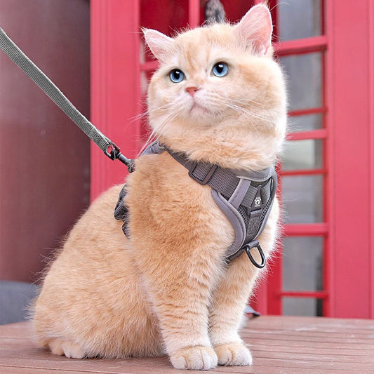 Vest style kitten leash