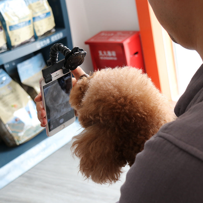 Pet selfie magic tool