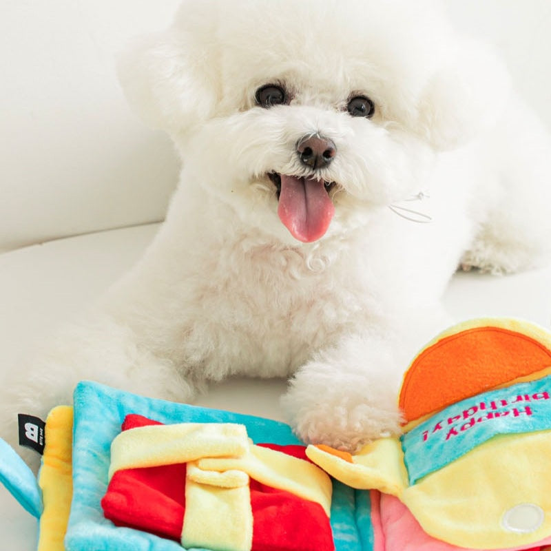 Dog Treat Puzzle Book Toy