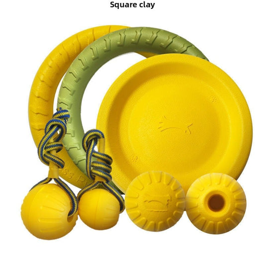 Dog training toy balls, frisbees, border Collies, Golden Retrievers, and medium to large-sized dogs