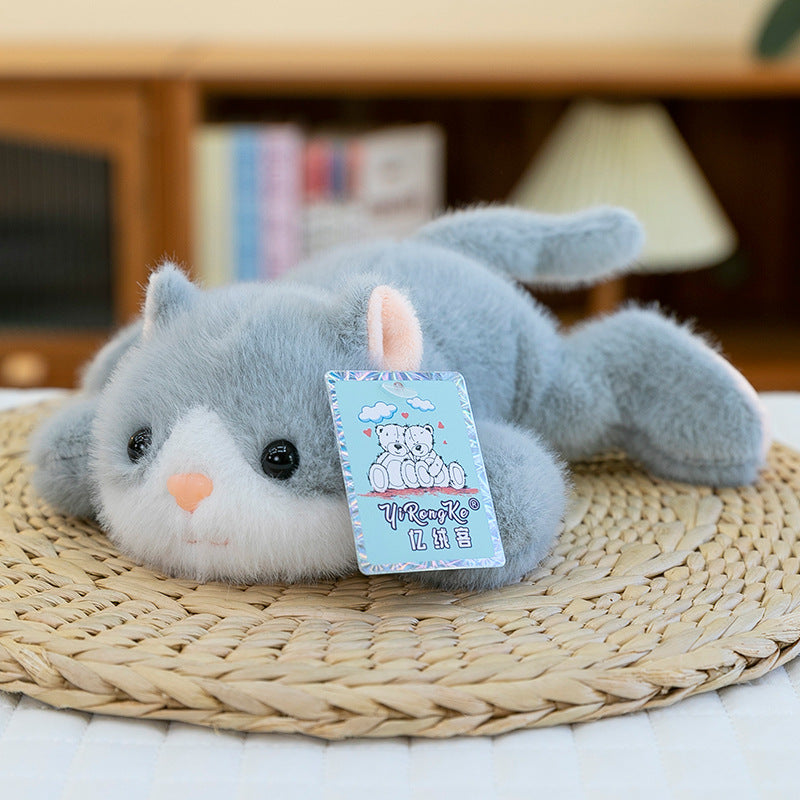 Pocket Plush Toy Panda Plush Doll Cute Plush Doll Doll Gift Children's Pacifying Doll