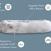 Portable pet bed and human bed